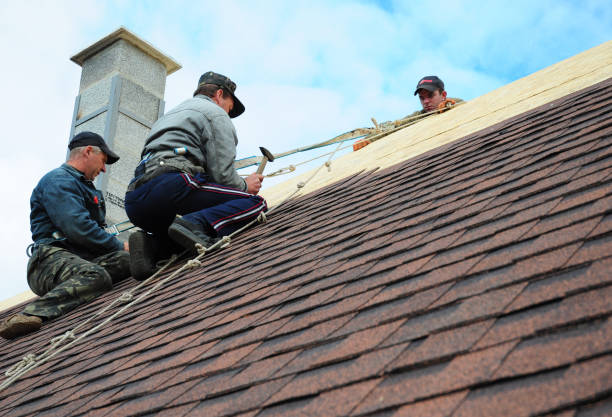 Quick and Trustworthy Emergency Roof Repair Services in Gloucester Point, VA